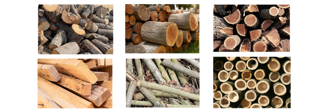 Wood Splitter(Standard)&(Aggravated)